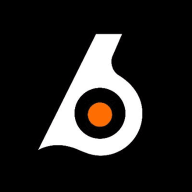 Birdeye.so logo